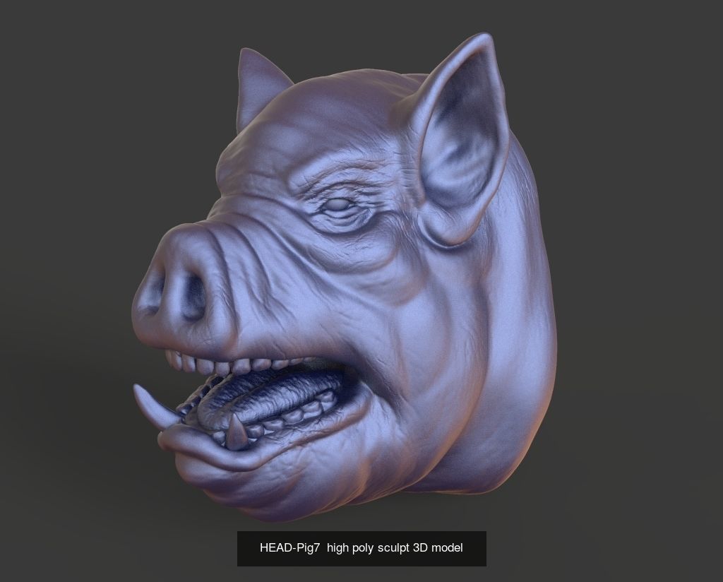 50 HEADS High Poly sculpts 3D model 3D Model Collection _21