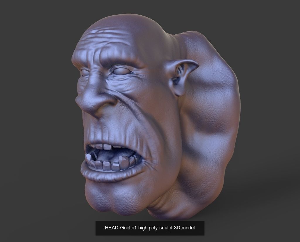 50 HEADS High Poly sculpts 3D model 3D Model Collection _25