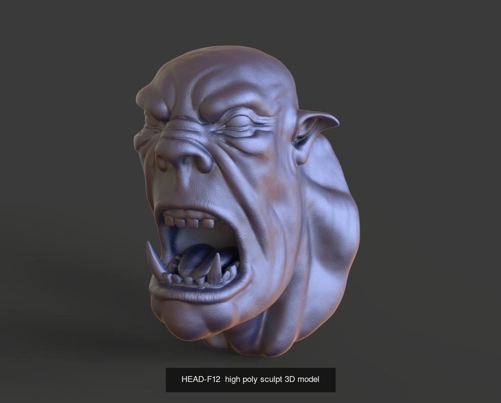 50 HEADS High Poly sculpts 3D model 3D Model Collection _46