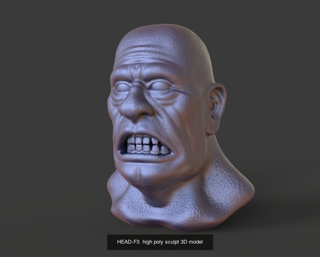 50 HEADS High Poly sculpts 3D model 3D Model Collection _37