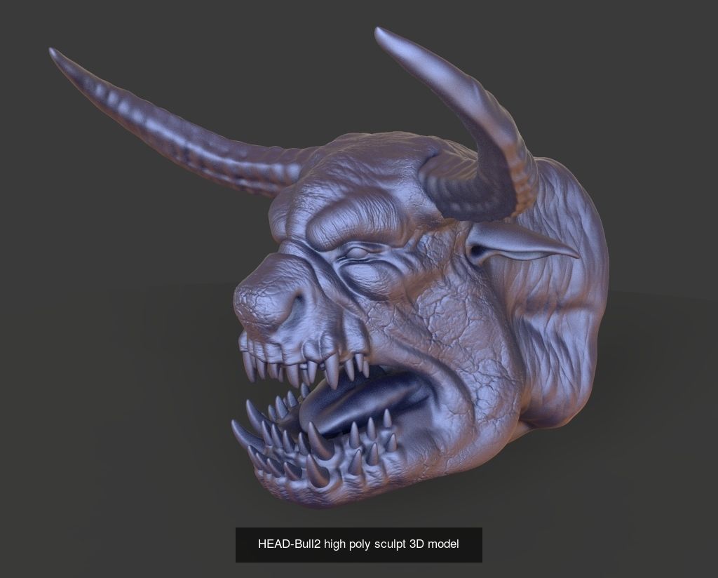 50 HEADS High Poly sculpts 3D model 3D Model Collection _6