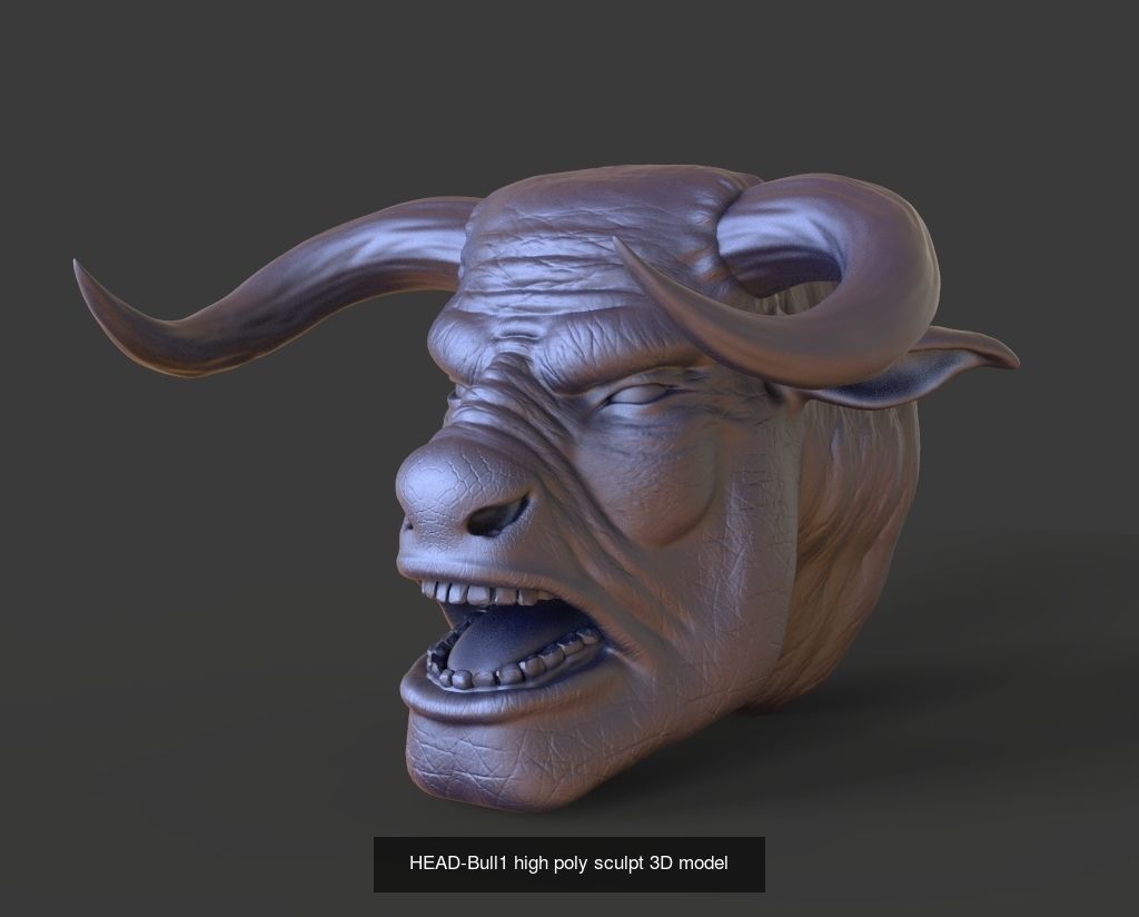 50 HEADS High Poly sculpts 3D model 3D Model Collection _5