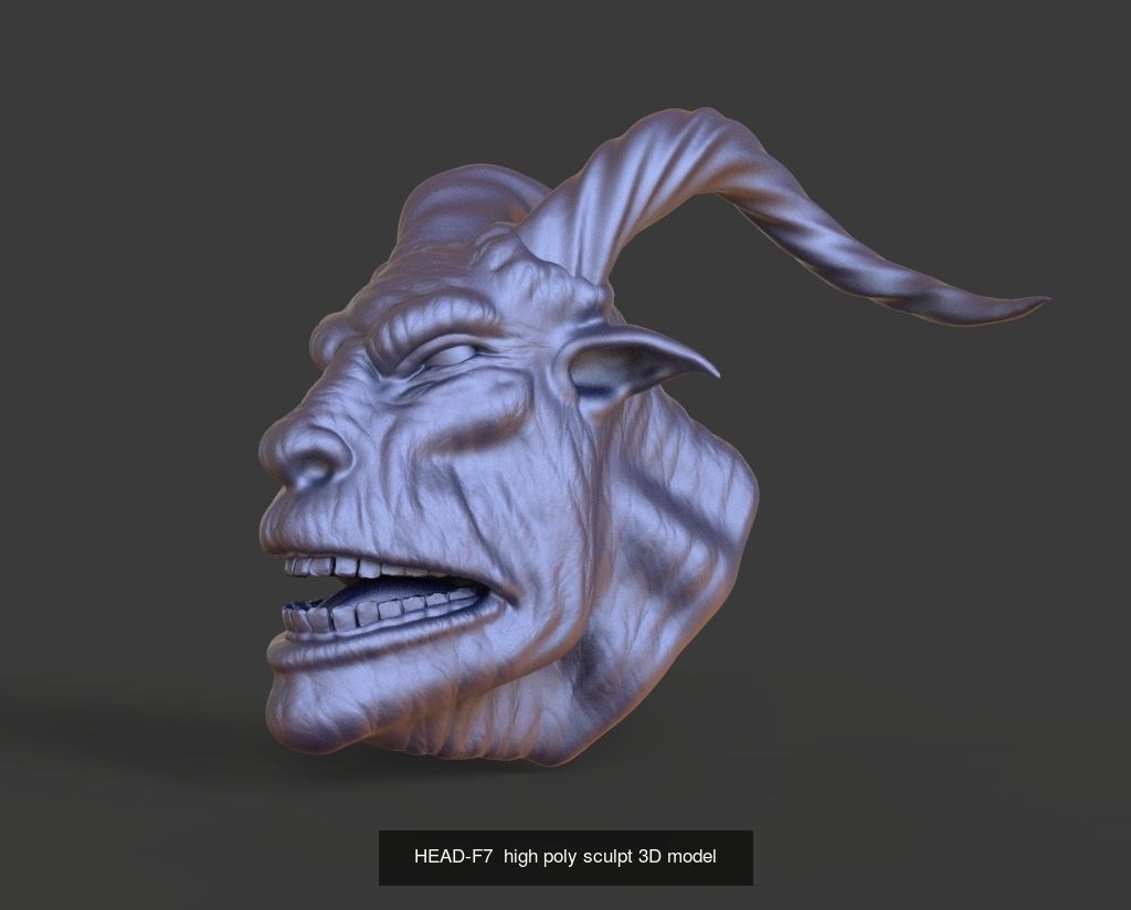 50 HEADS High Poly sculpts 3D model 3D Model Collection _41