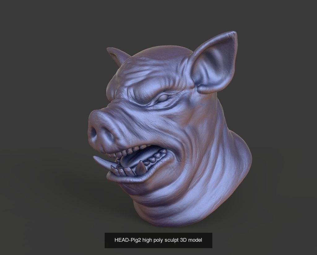 50 HEADS High Poly sculpts 3D model 3D Model Collection _16