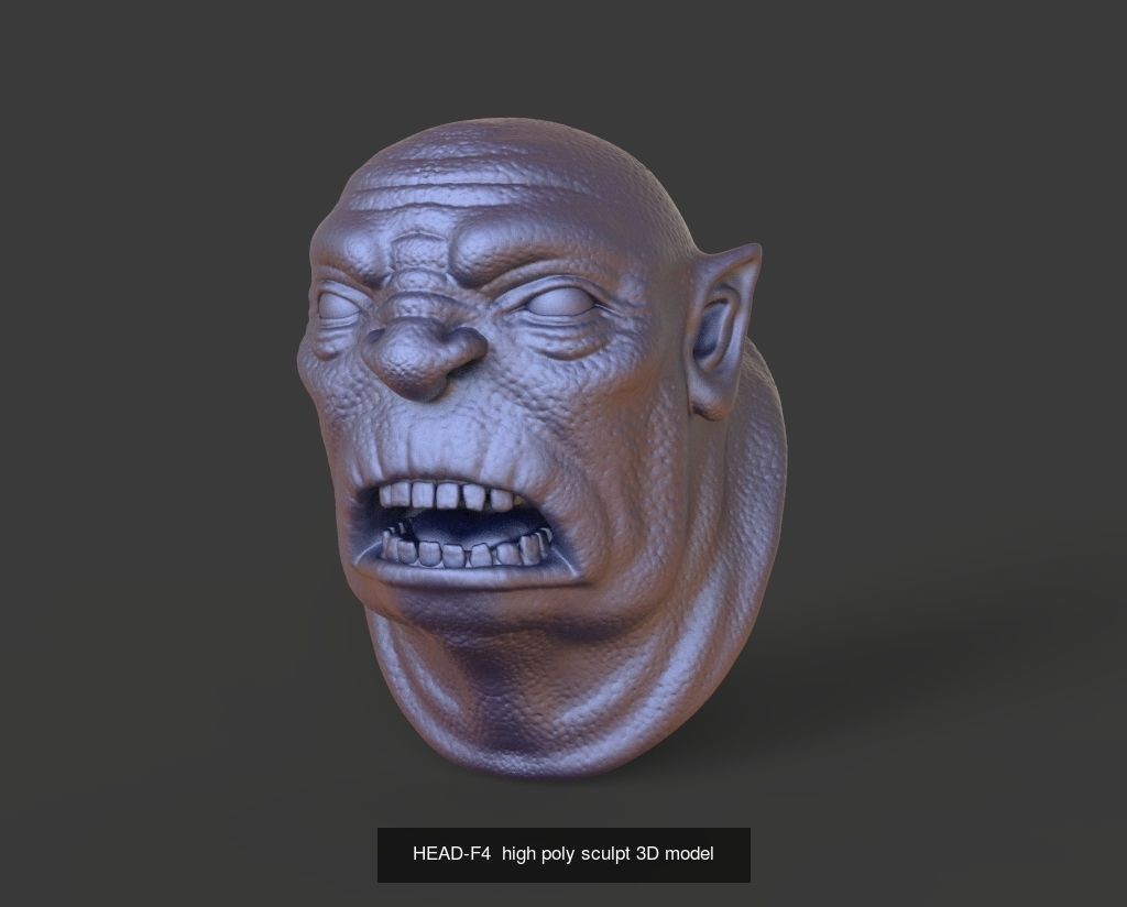 50 HEADS High Poly sculpts 3D model 3D Model Collection _38