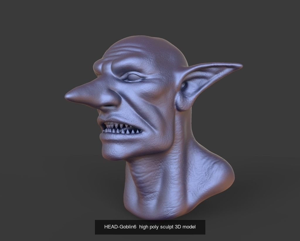 50 HEADS High Poly sculpts 3D model 3D Model Collection _30