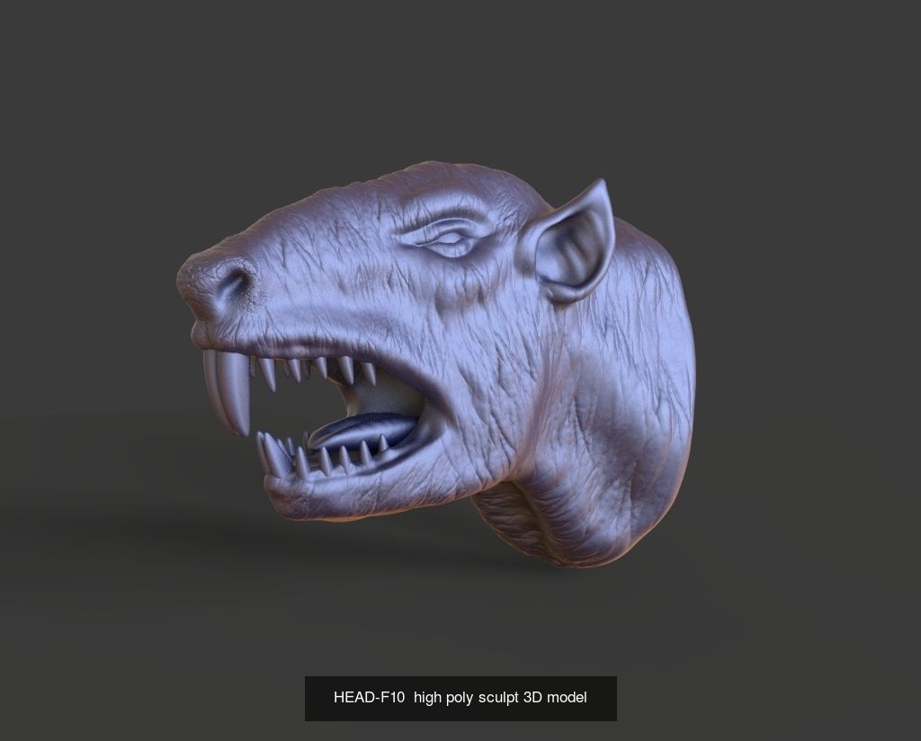 50 HEADS High Poly sculpts 3D model 3D Model Collection _44