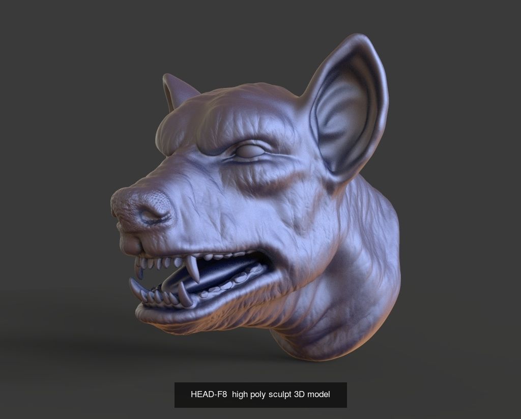 50 HEADS High Poly sculpts 3D model 3D Model Collection _42