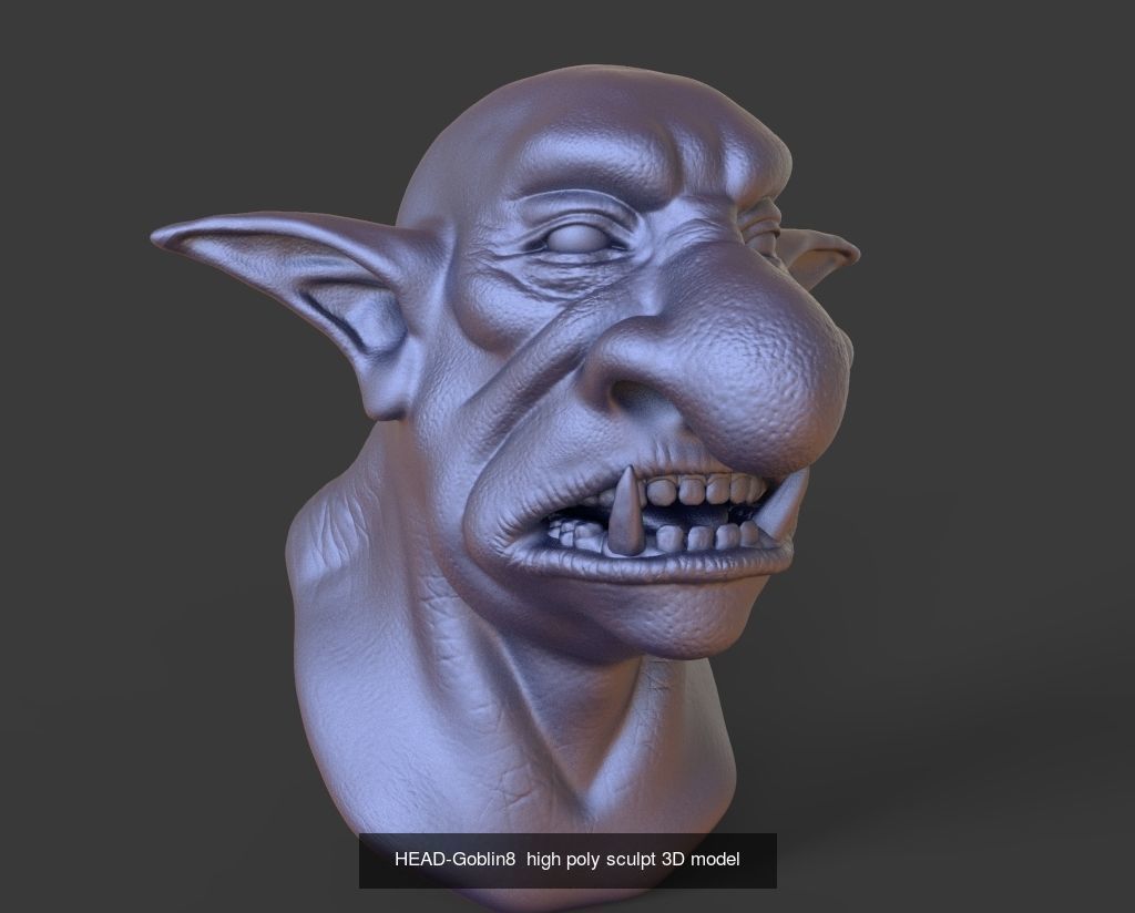 50 HEADS High Poly sculpts 3D model 3D Model Collection _32