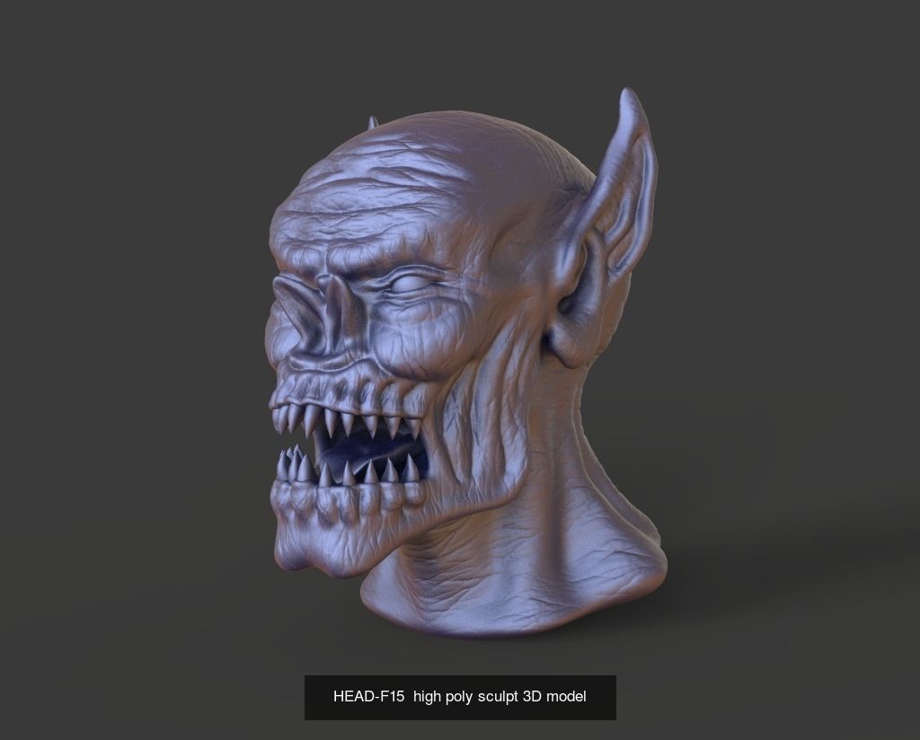 50 HEADS High Poly sculpts 3D model 3D Model Collection _49