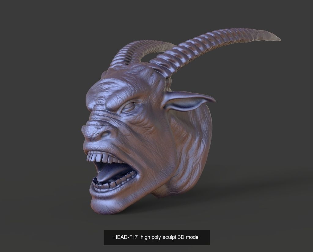 50 HEADS High Poly sculpts 3D model 3D Model Collection _51