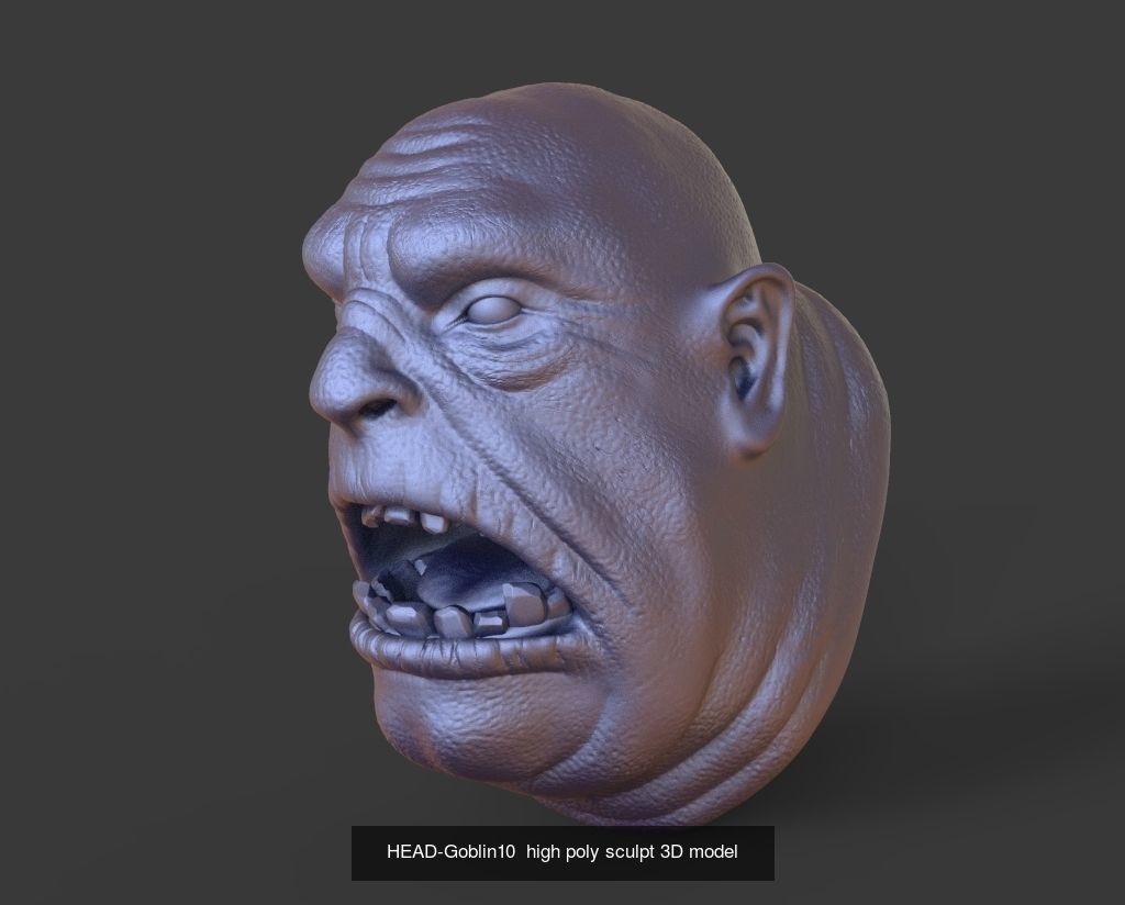 50 HEADS High Poly sculpts 3D model 3D Model Collection _34