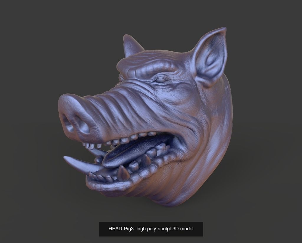 50 HEADS High Poly sculpts 3D model 3D Model Collection _17