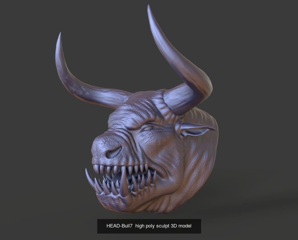 50 HEADS High Poly sculpts 3D model 3D Model Collection _11