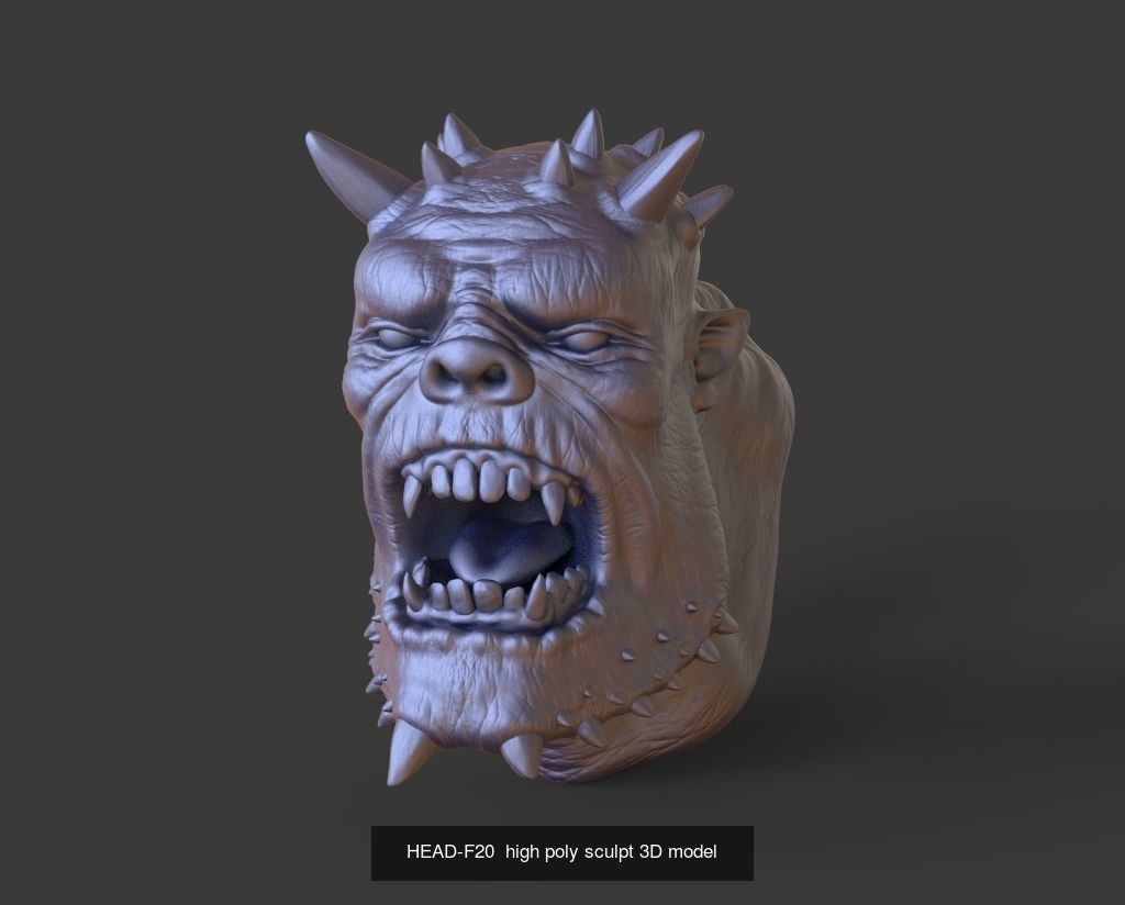 50 HEADS High Poly sculpts 3D model 3D Model Collection _54