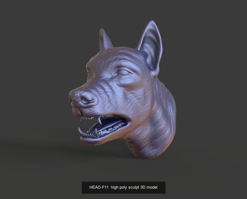 50 HEADS High Poly sculpts 3D model 3D Model Collection _45