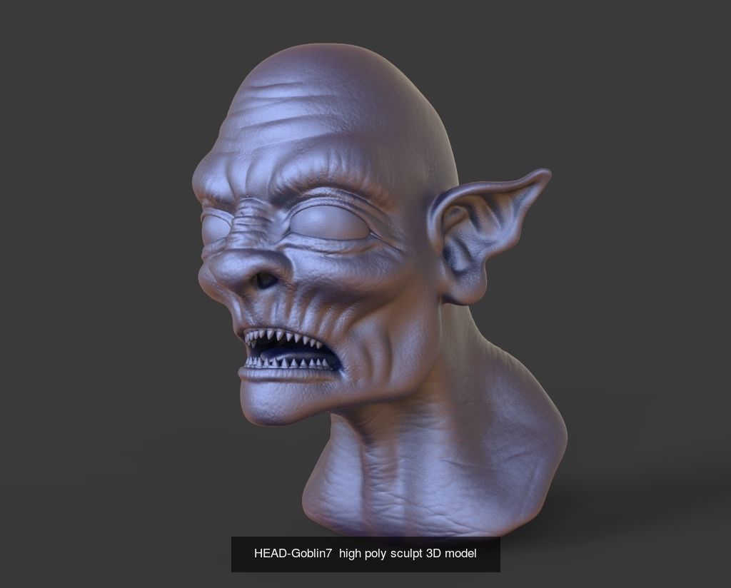 50 HEADS High Poly sculpts 3D model 3D Model Collection _31