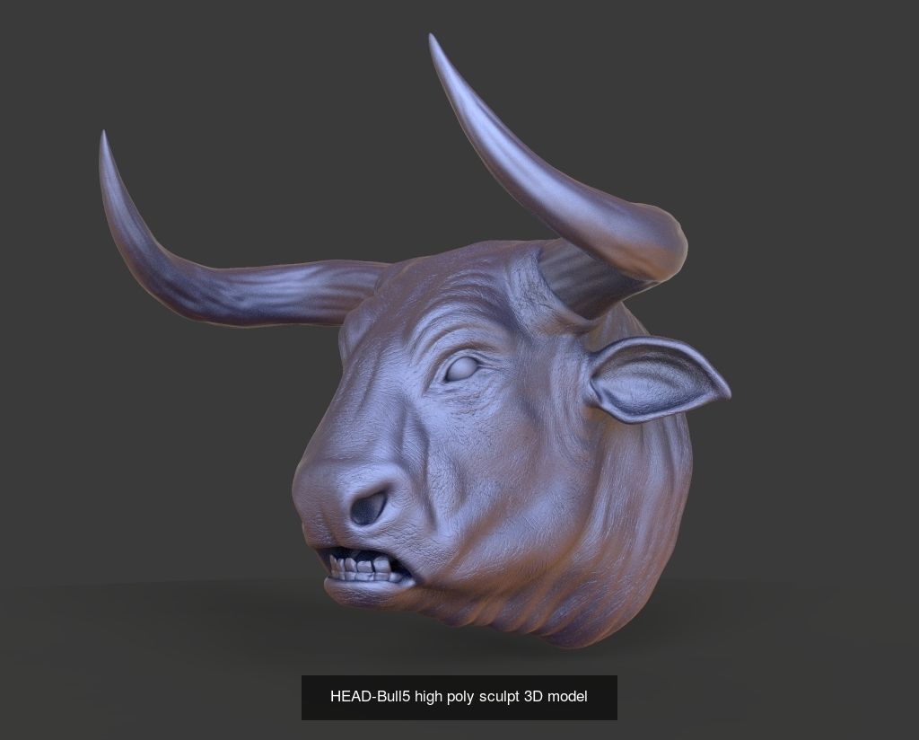 50 HEADS High Poly sculpts 3D model 3D Model Collection _9