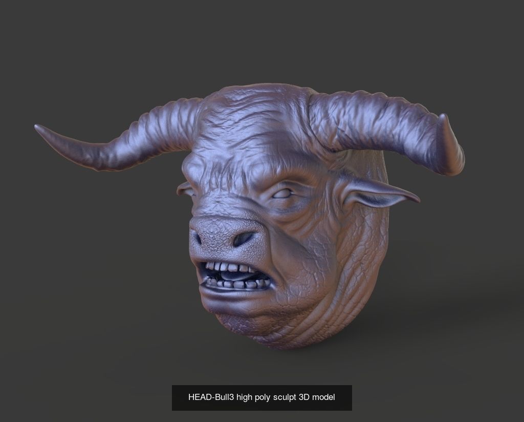 50 HEADS High Poly sculpts 3D model 3D Model Collection _7