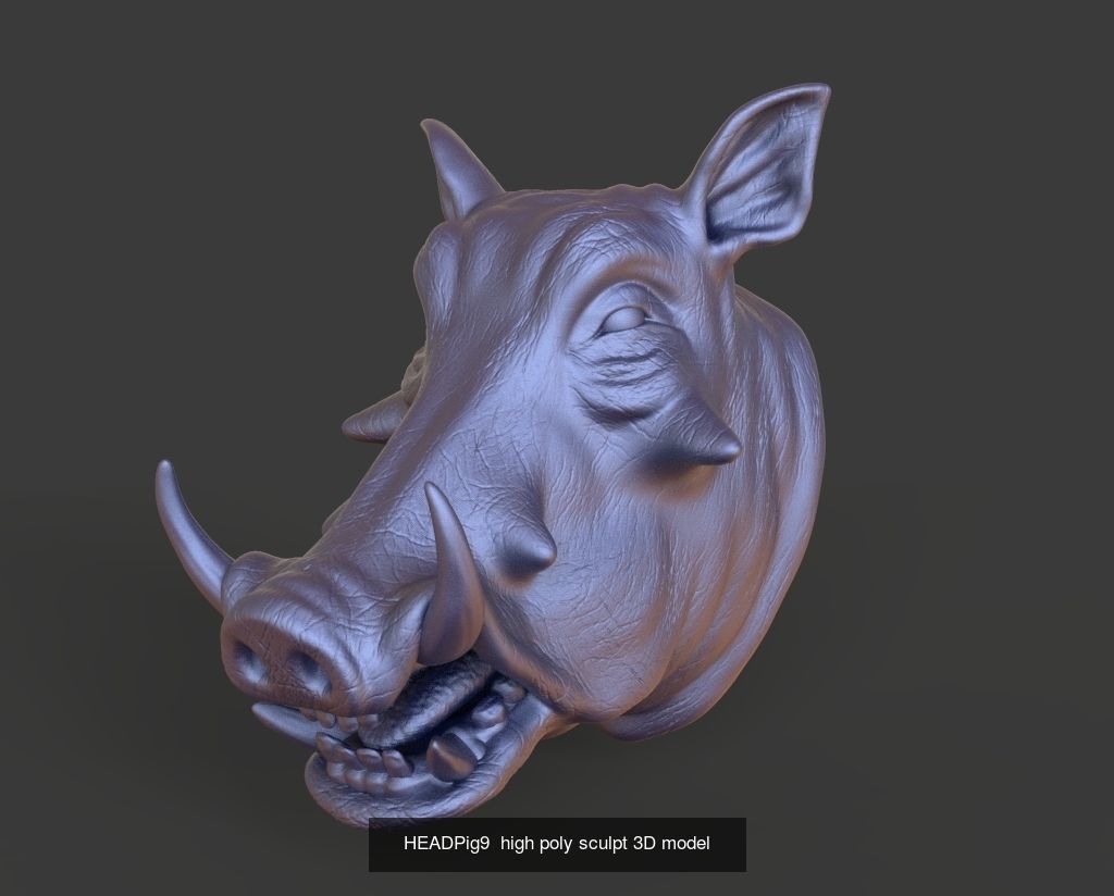 50 HEADS High Poly sculpts 3D model 3D Model Collection _23