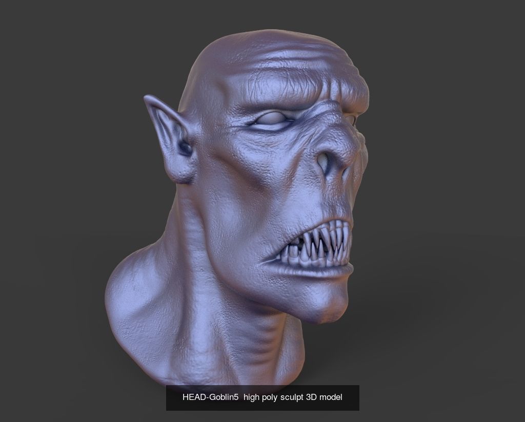 50 HEADS High Poly sculpts 3D model 3D Model Collection _29