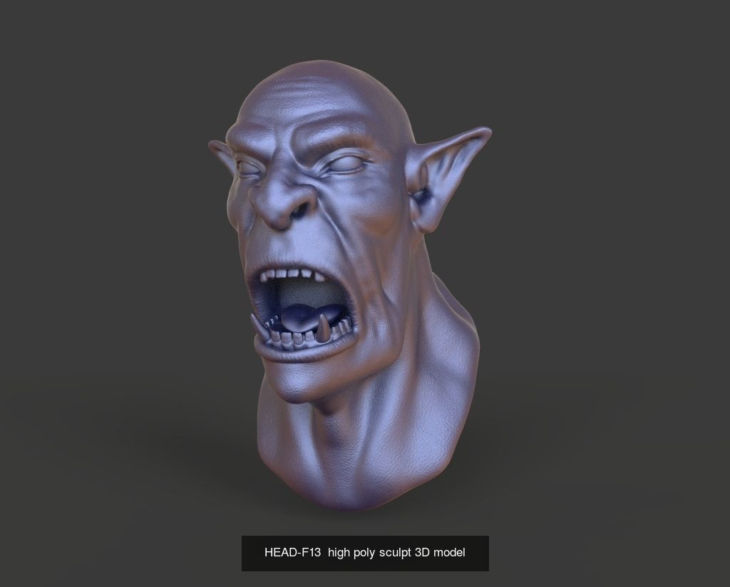 50 HEADS High Poly sculpts 3D model 3D Model Collection _47