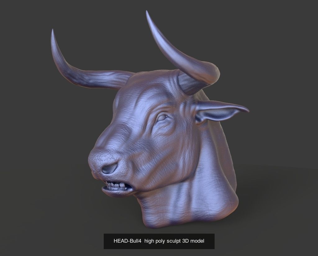 50 HEADS High Poly sculpts 3D model 3D Model Collection _8