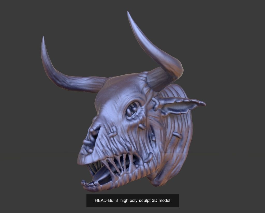 50 HEADS High Poly sculpts 3D model 3D Model Collection _12