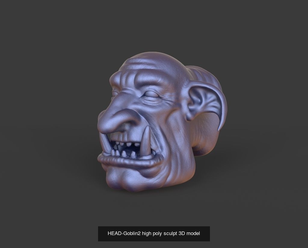 50 HEADS High Poly sculpts 3D model 3D Model Collection _26