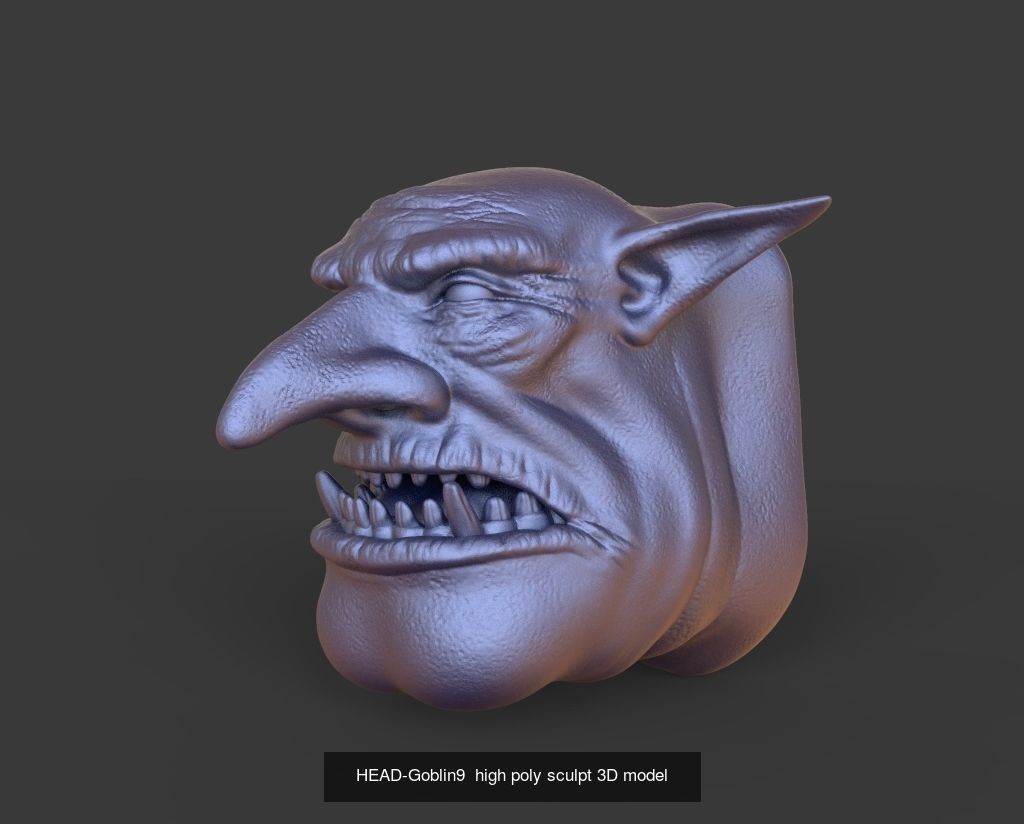 50 HEADS High Poly sculpts 3D model 3D Model Collection _33