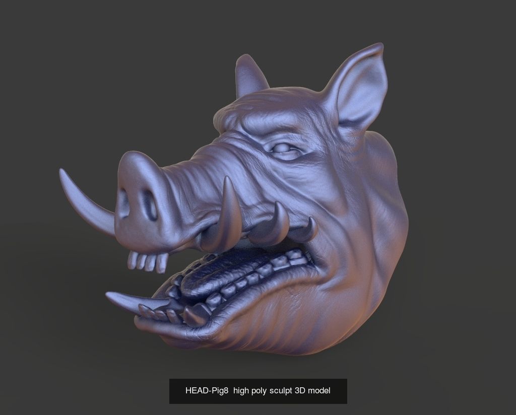 50 HEADS High Poly sculpts 3D model 3D Model Collection _22