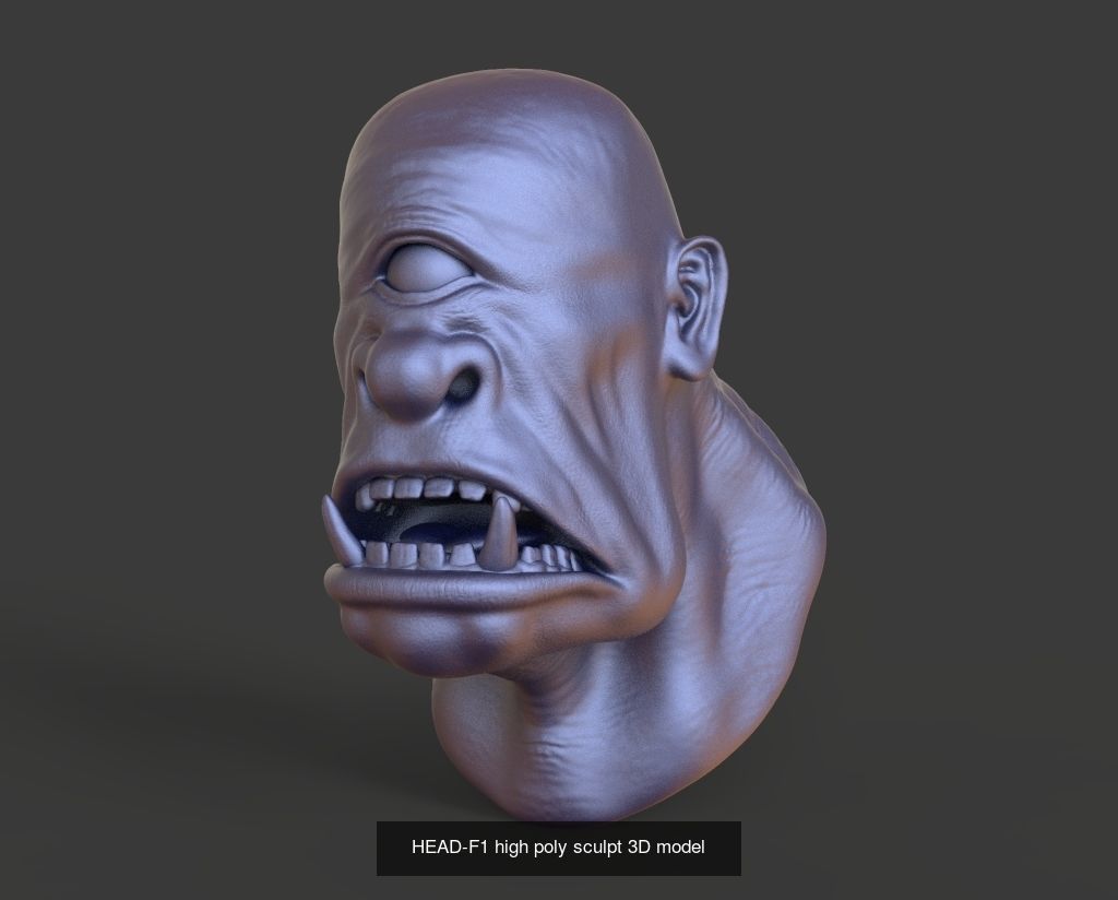 50 HEADS High Poly sculpts 3D model 3D Model Collection _35