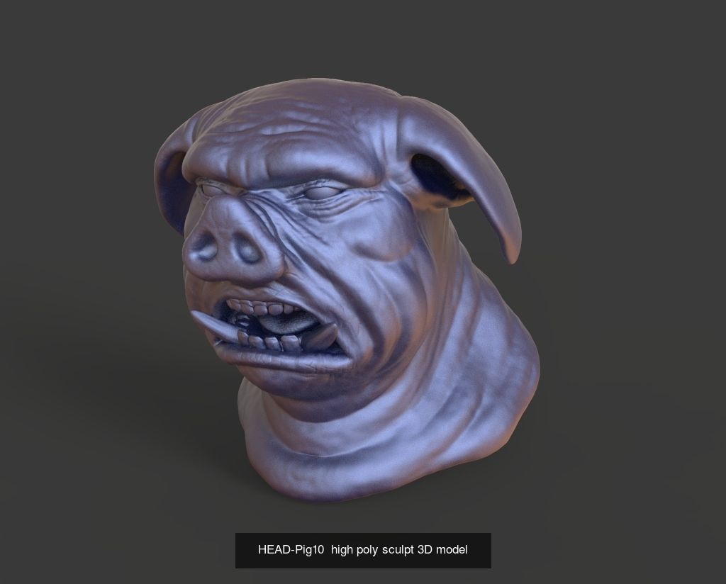 50 HEADS High Poly sculpts 3D model 3D Model Collection _24