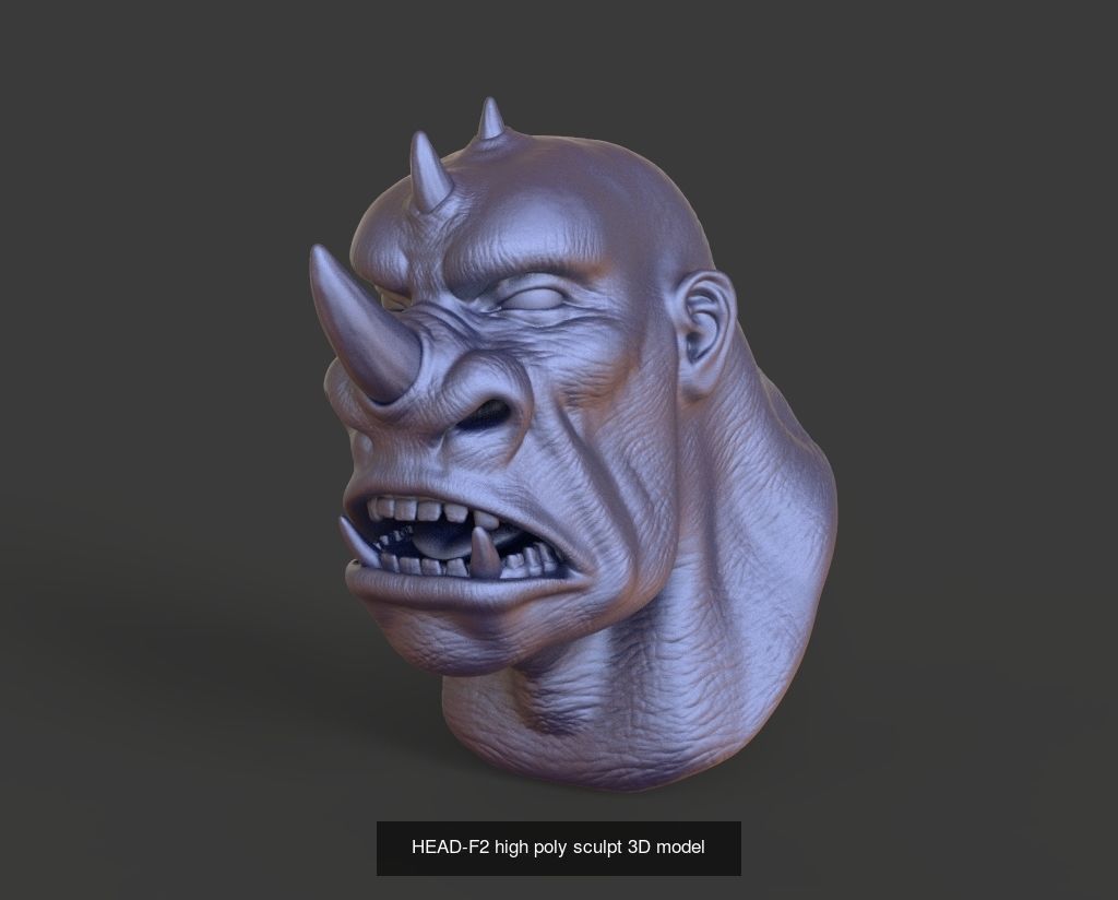 50 HEADS High Poly sculpts 3D model 3D Model Collection _36