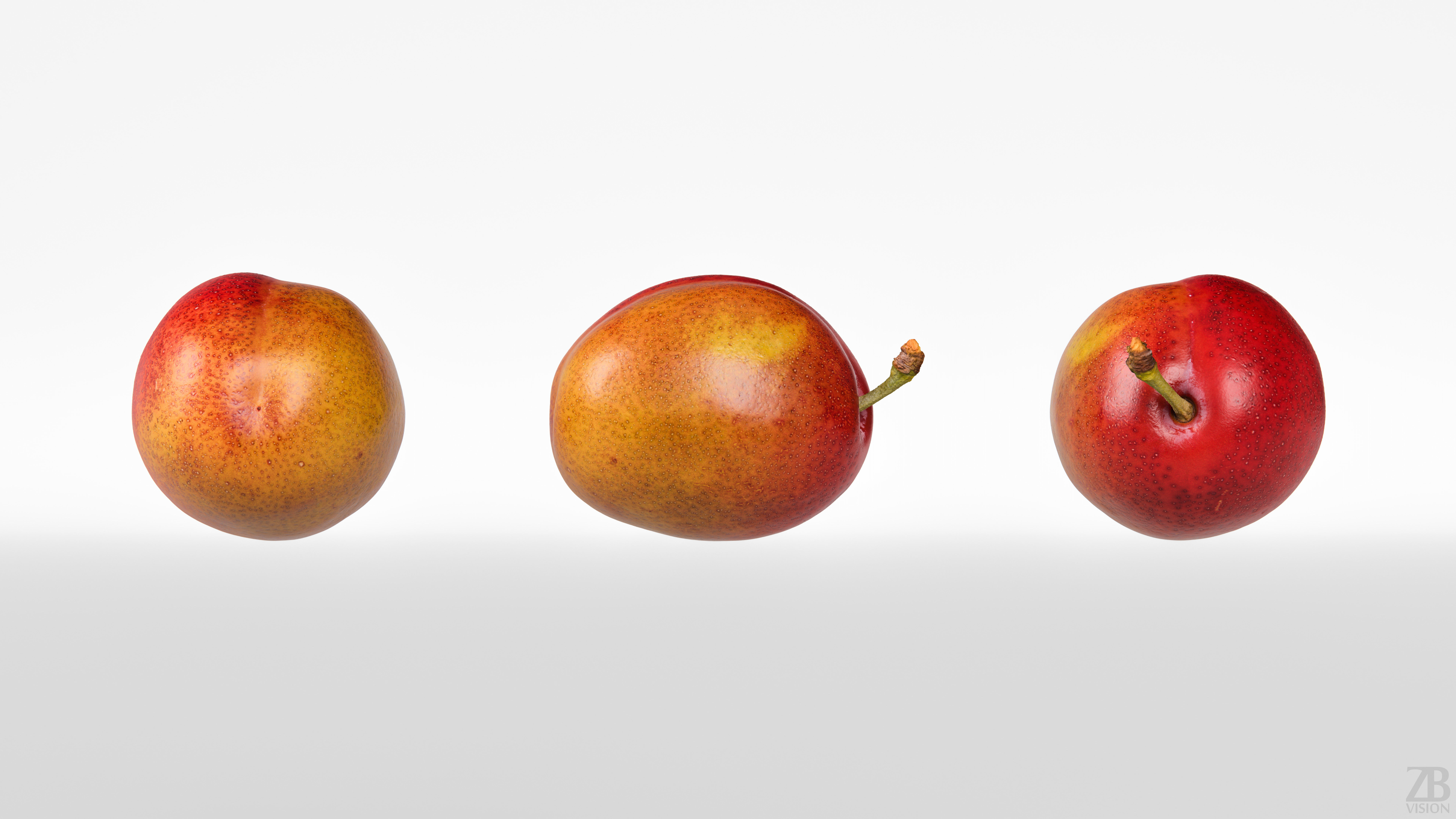 Plum 3D model_4