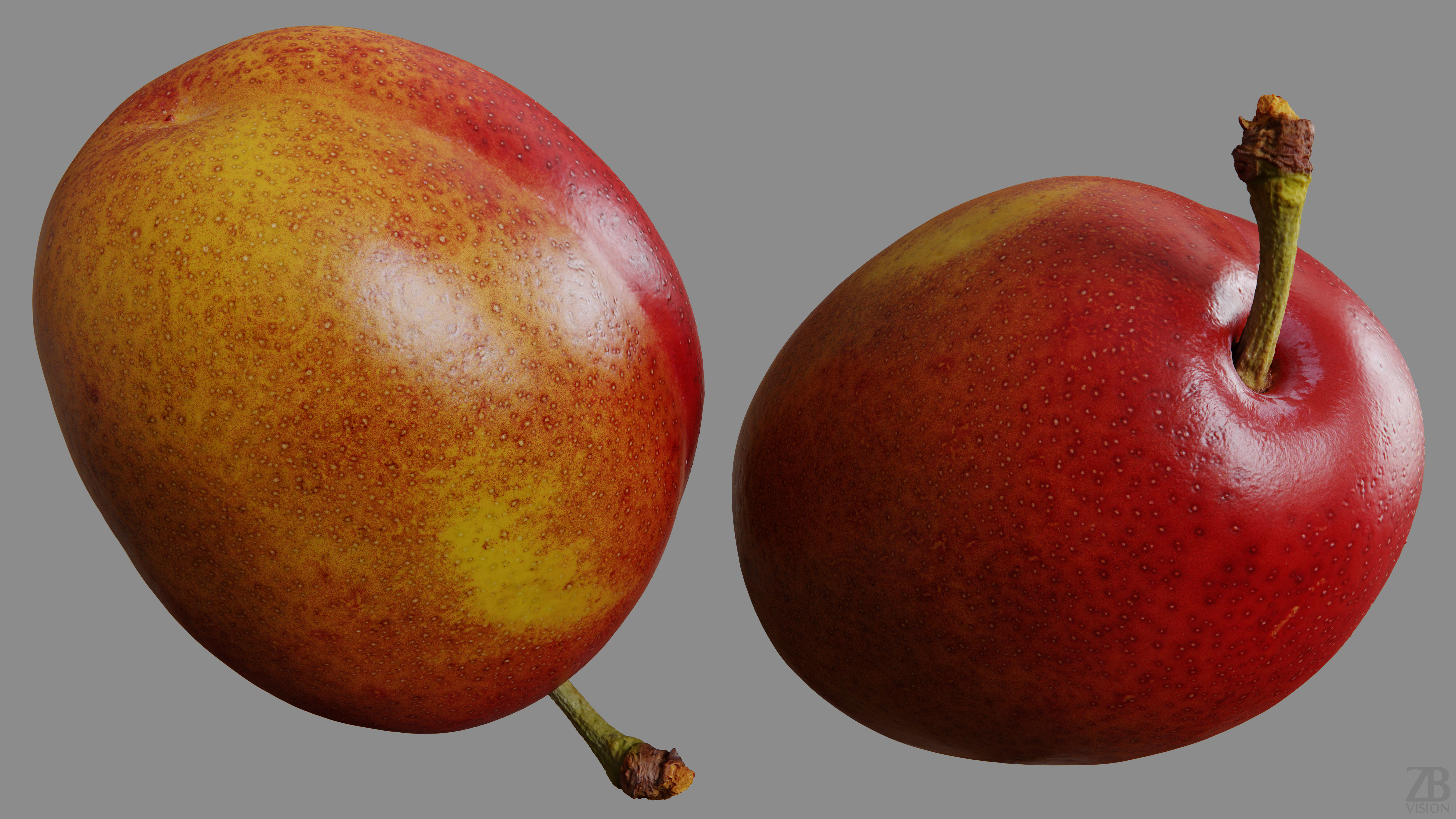 Plum 3D model_9