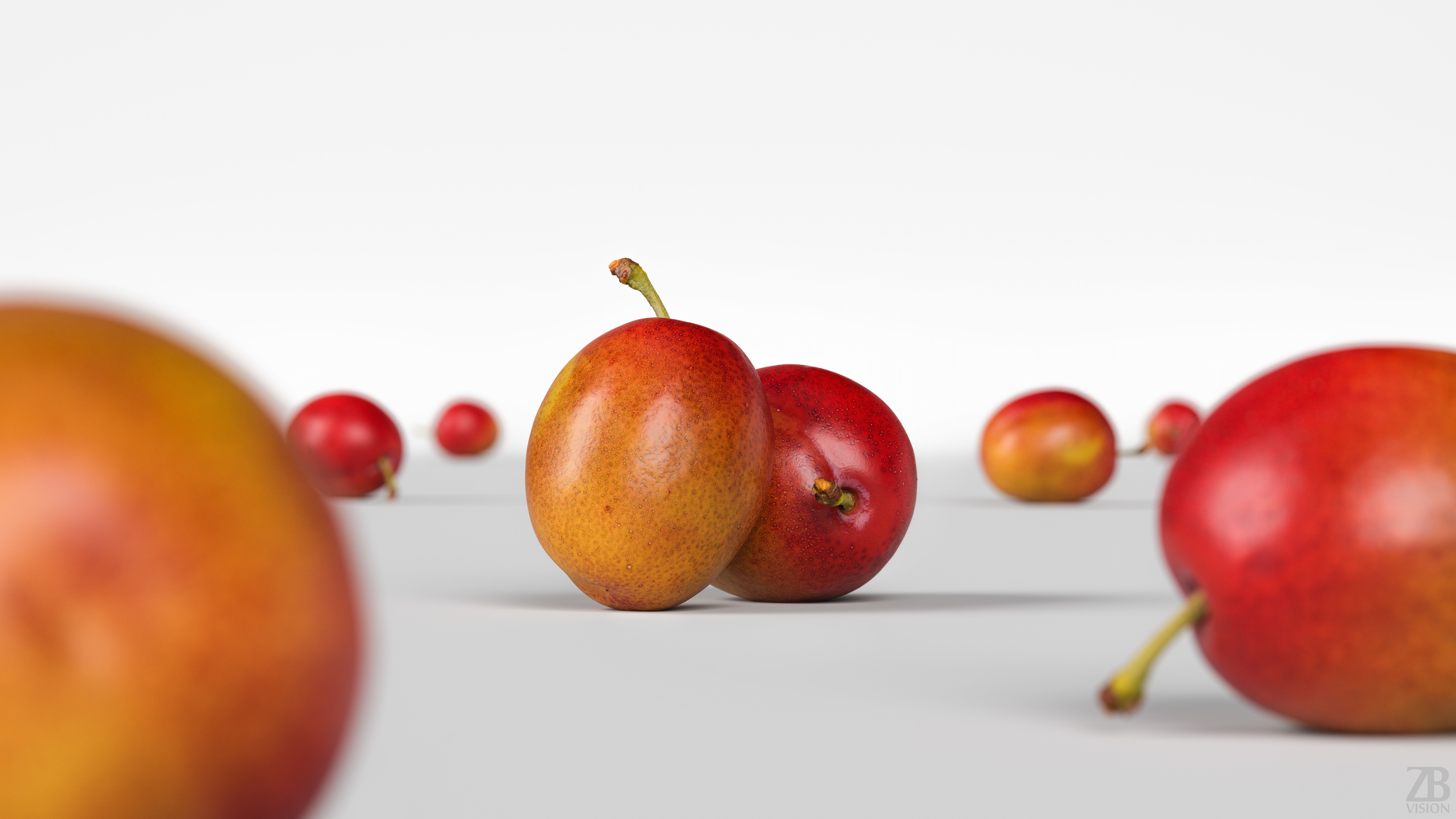 Plum 3D model_1