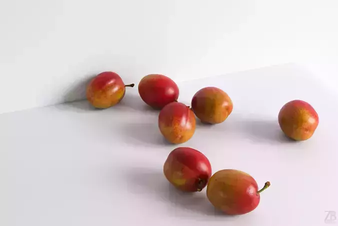 Plum  3D model