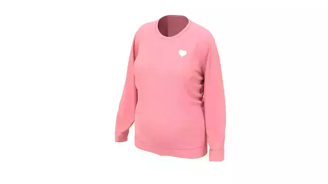 Maternity Sweatshirt