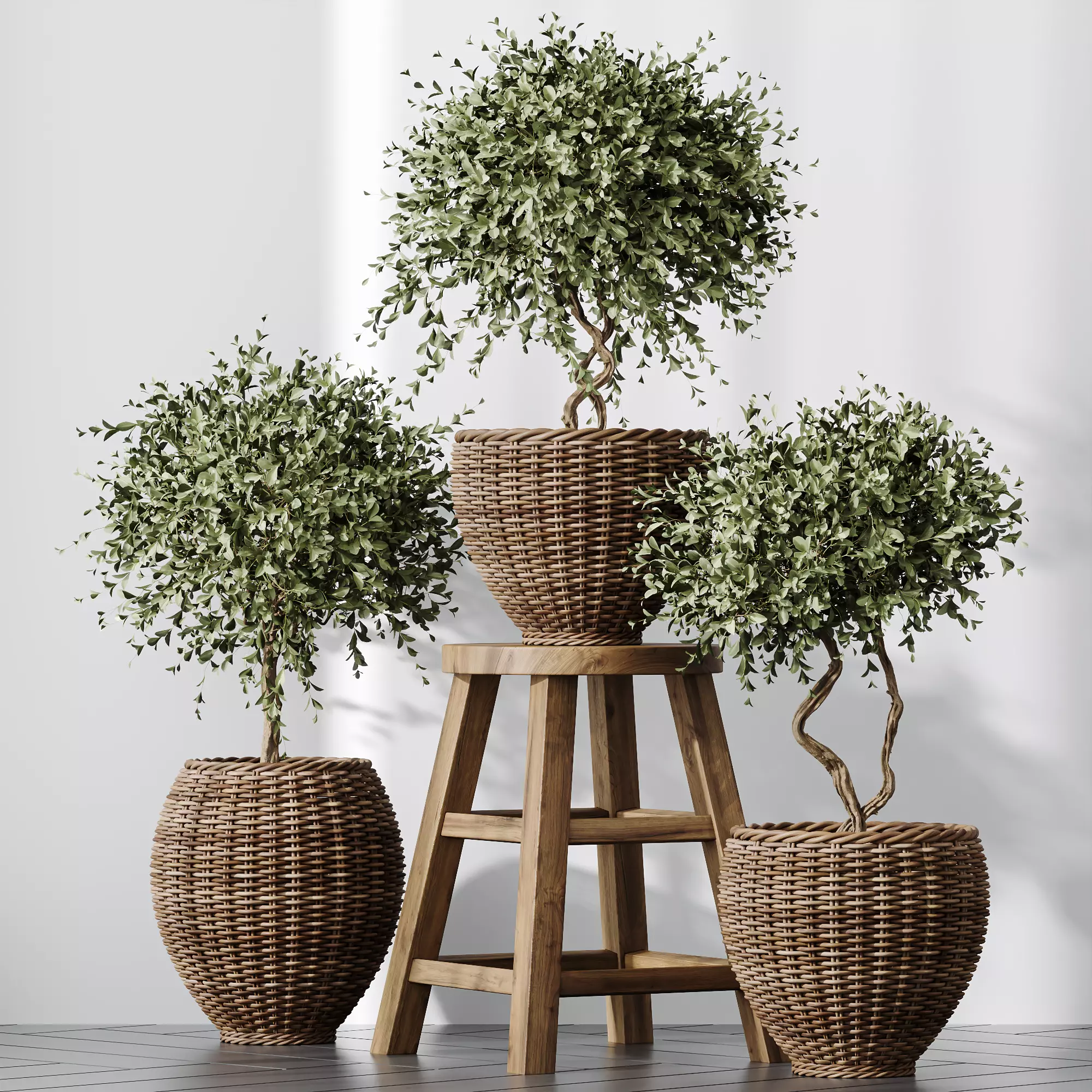 HQ Plants Mission Olive Tree Indoor Vase Set004 3D model_0