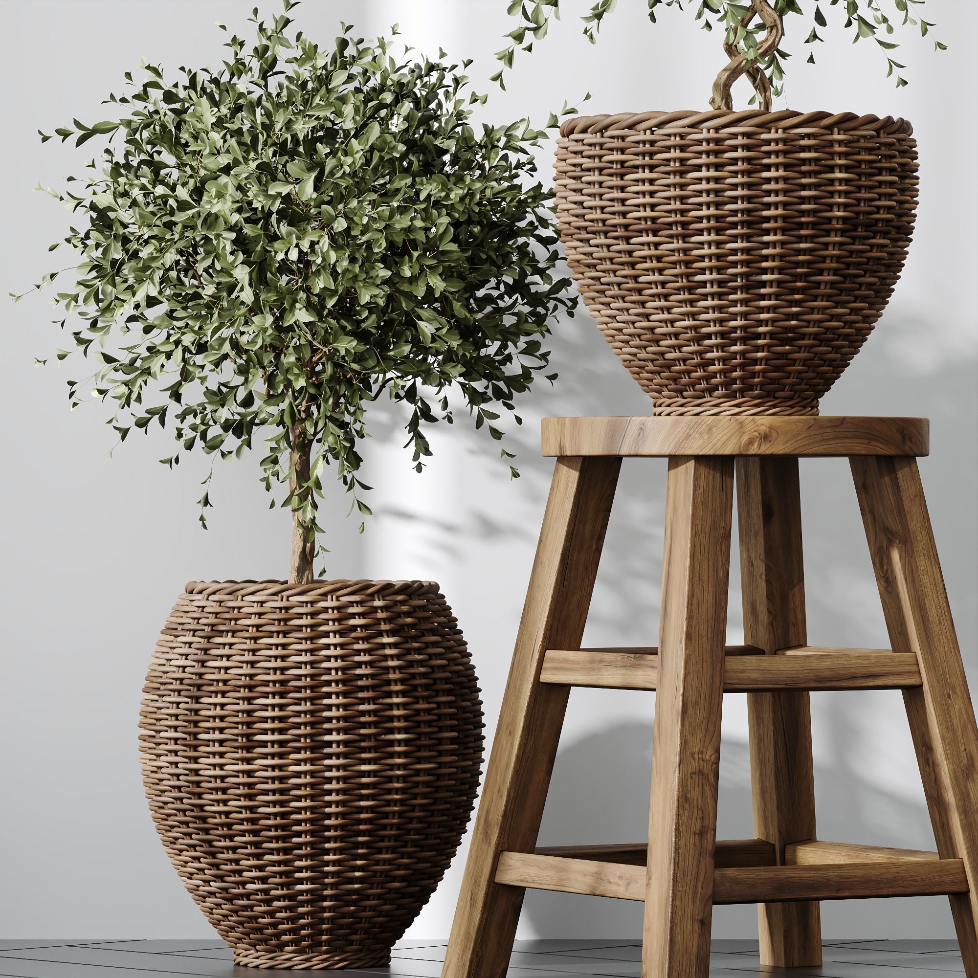 HQ Plants Mission Olive Tree Indoor Vase Set004 3D model_1