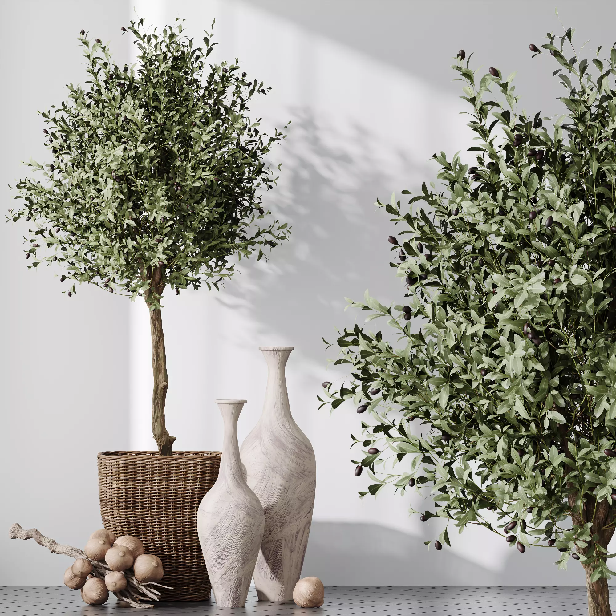 HQ Plants Mission Olive Tree Indoor Vase Set005 3D model_0