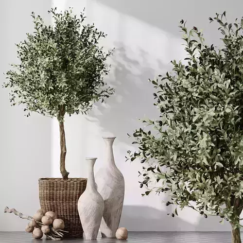 HQ Plants Mission Olive Tree Indoor Vase Set005 3D model