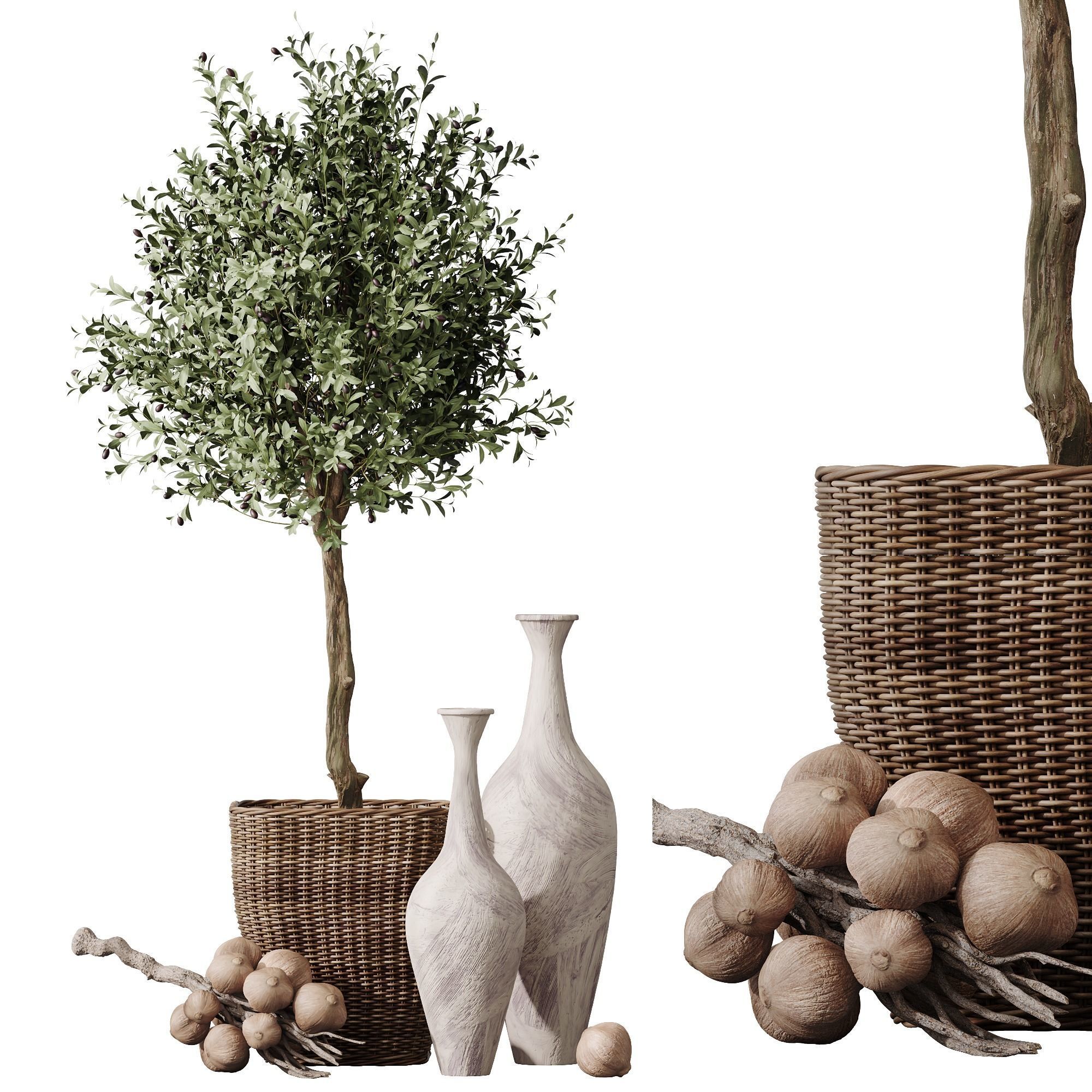 HQ Plants Mission Olive Tree Indoor Vase Set005 3D model_4