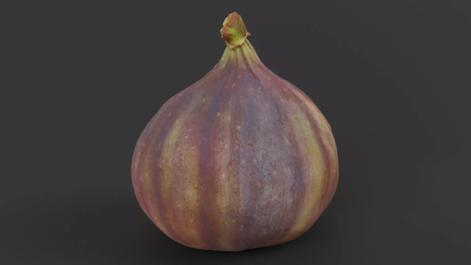 Fig Photorealistic Low-poly 3D model