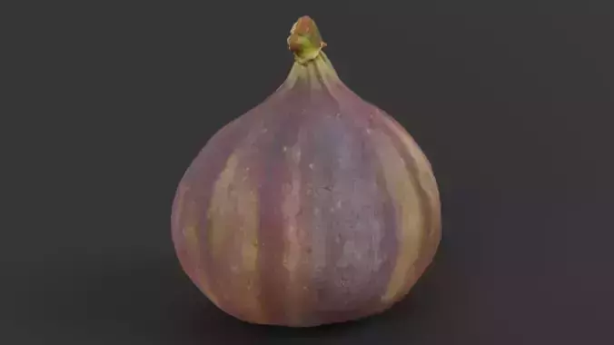 Fig Photorealistic