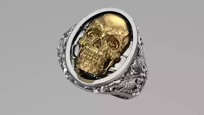 Gold and Silver Skull ring