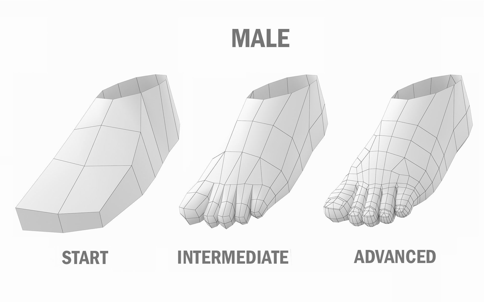 Natural Female and Male Base Mesh SUPER BUNDLE 3D model_4