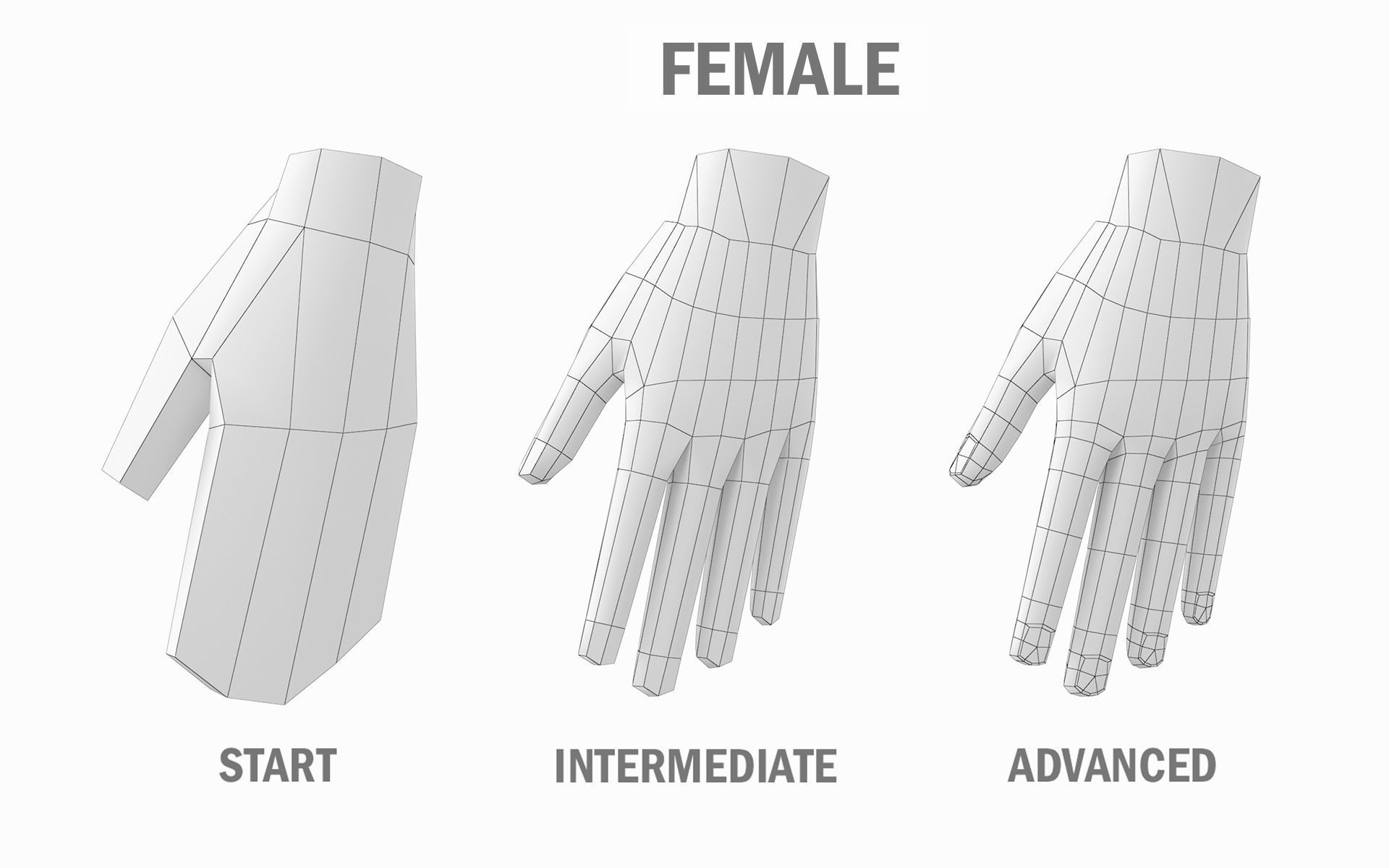 Natural Female and Male Base Mesh SUPER BUNDLE 3D model_5