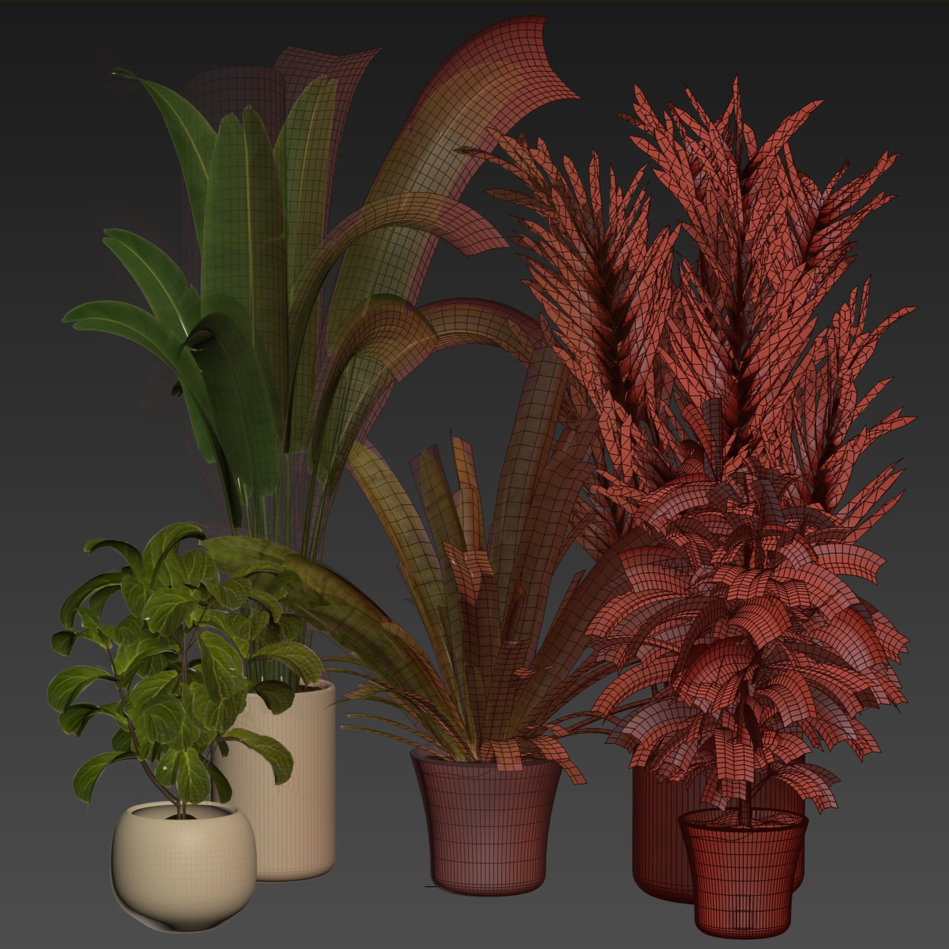 Collection plant vol 524 - banana - hanging - croton - fiddle  3D model_5